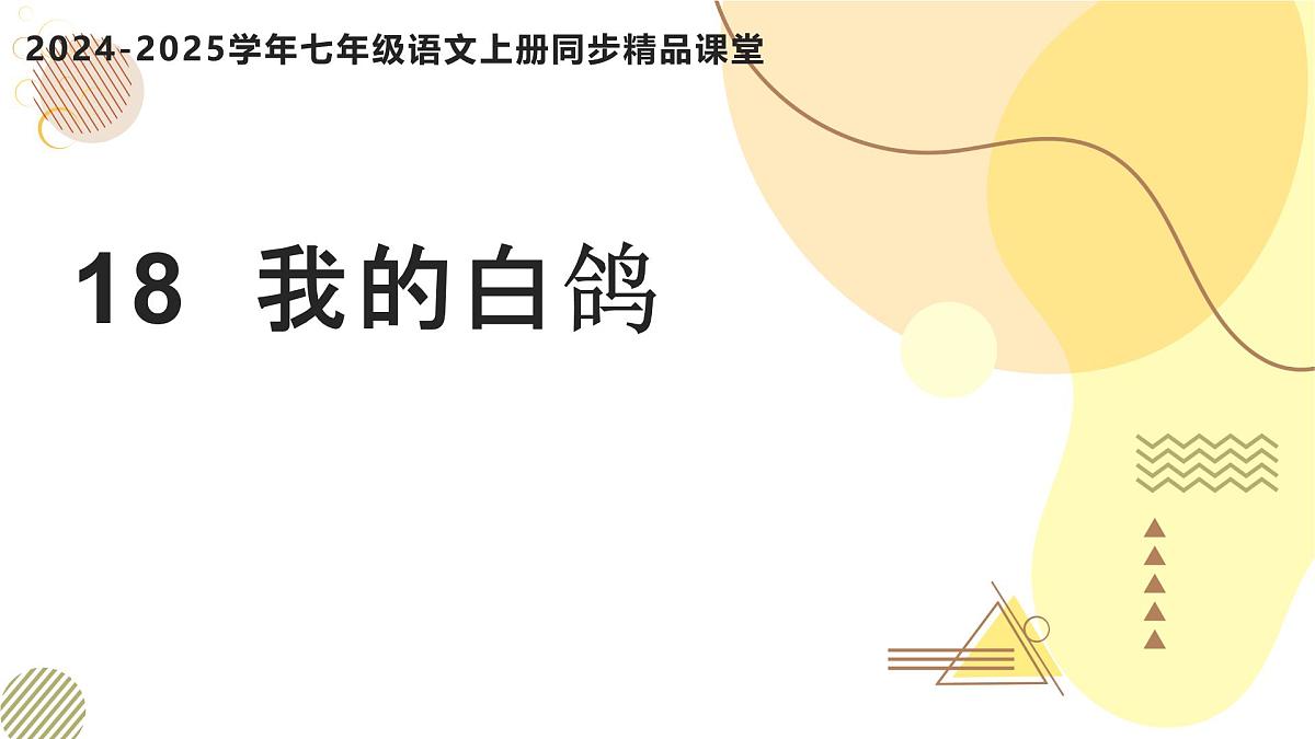 新人教部编版语文七上 5-18《我的白鸽》  课件第1页