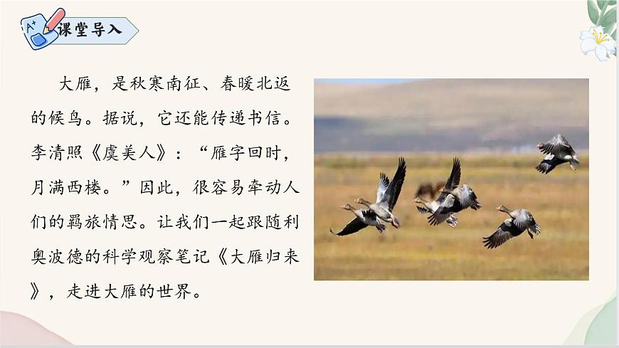 新人教部编版语文七上 5-19《大雁归来》课件第3页
