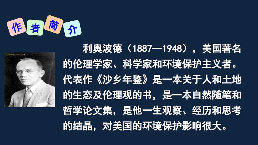 新人教部编版语文七上 5-19《大雁归来》 课件第2页