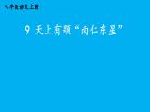 初中語(yǔ)文新人教部編版八年級(jí)上冊(cè)第二單元9 天上有顆“南仁東星”上課課件（考點(diǎn)精講版）（2025秋）