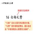 初中語文新人教部編版八年級上冊第四單元16 白楊禮贊上課課件（考點精講版）（2025秋）