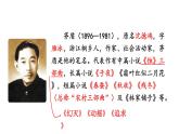 初中語文新人教部編版八年級上冊第四單元16 白楊禮贊上課課件（考點精講版）（2025秋）