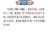 初中語文新人教部編版八年級上冊第五單元20 蘇州園林上課課件（考點(diǎn)精講版）（2025秋）