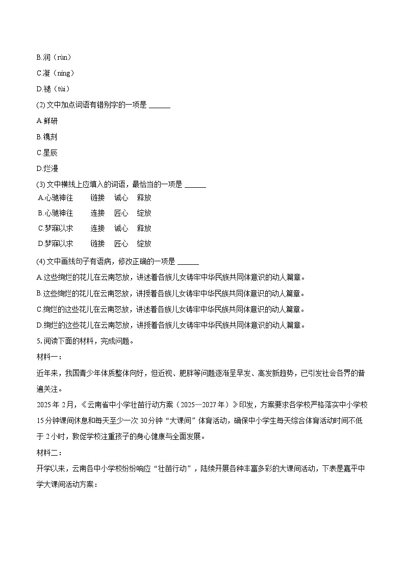 2025年云南省昆明市官渡区中考语文模拟试卷（5月份）（含详细答案解析）第3页