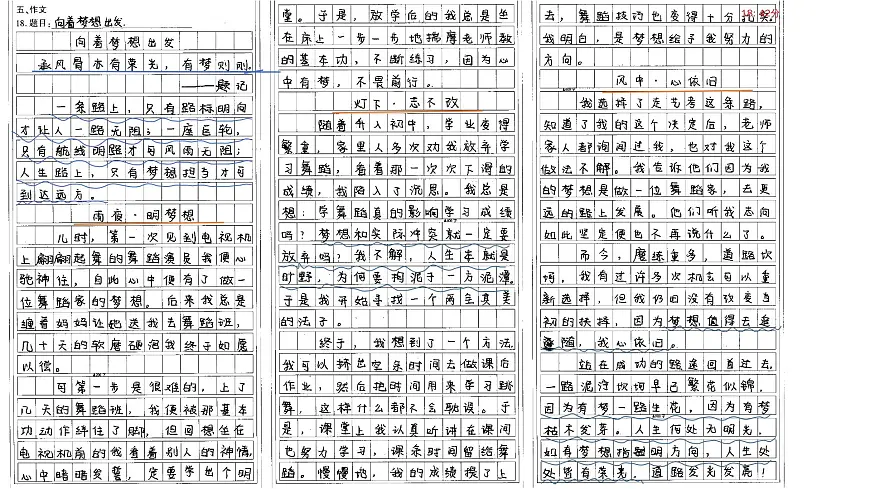 2025年中考语文作文冲刺：小标题格式为记叙文增色课件（全国通用）第3页
