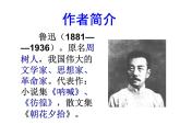 10.《阿長與山海經》課件 統(tǒng)編版語文七年級下冊