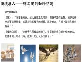 部編版2025-2026年第一學(xué)期 七年級(jí) 語(yǔ)文上冊(cè)   第五單元  任務(wù)二  親近動(dòng)物，豐富生命體驗(yàn)  課件