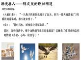 部編版2025-2026年第一學(xué)期 七年級(jí) 語(yǔ)文上冊(cè)   第五單元  任務(wù)二  親近動(dòng)物，豐富生命體驗(yàn)  課件