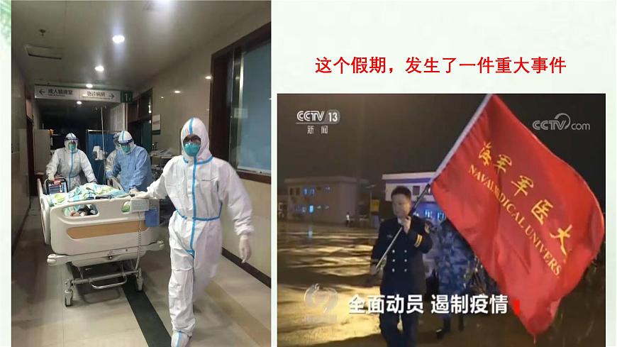 新人教部编版语文七上 5-19《大雁归来》课件第2页