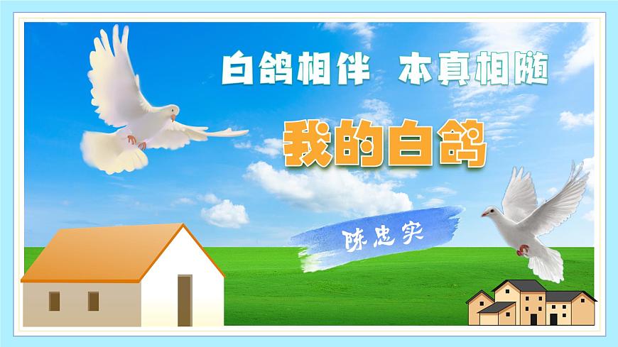 新人教部编版语文七上 5-18《我的白鸽》课件第1页