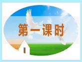 新人教部編版語文七上 5-18《我的白鴿》課件