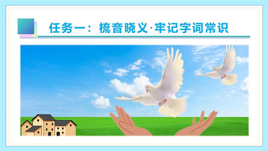 新人教部编版语文七上 5-18《我的白鸽》课件第6页