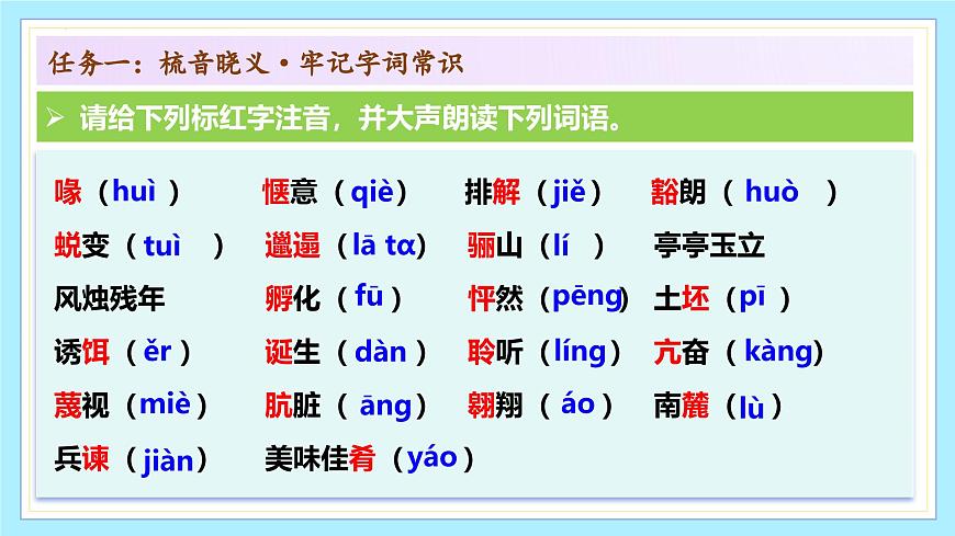 新人教部编版语文七上 5-18《我的白鸽》课件第7页