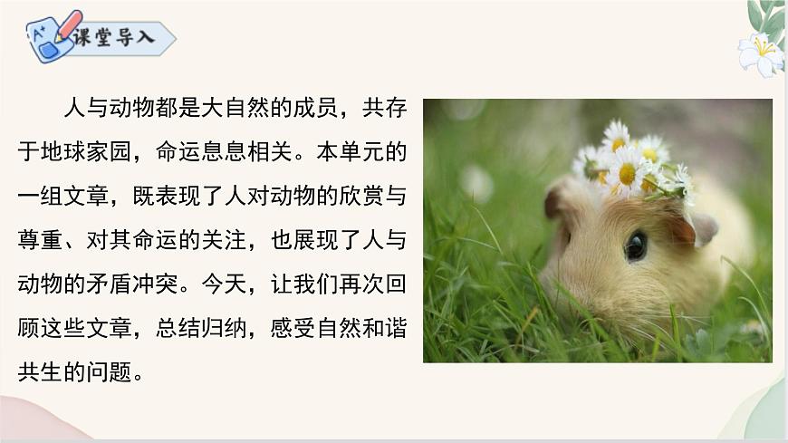 新人教部编版语文七上 第五单元复习课件第2页