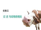 新人教部編版語(yǔ)文七上 第五單元《記敘與動(dòng)物的相處》課件