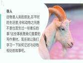 新人教部編版語(yǔ)文七上 第五單元《記敘與動(dòng)物的相處》課件