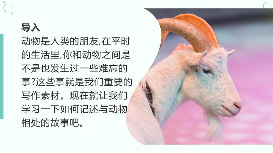 新人教部编版语文七上 第五单元《记叙与动物的相处》课件第2页