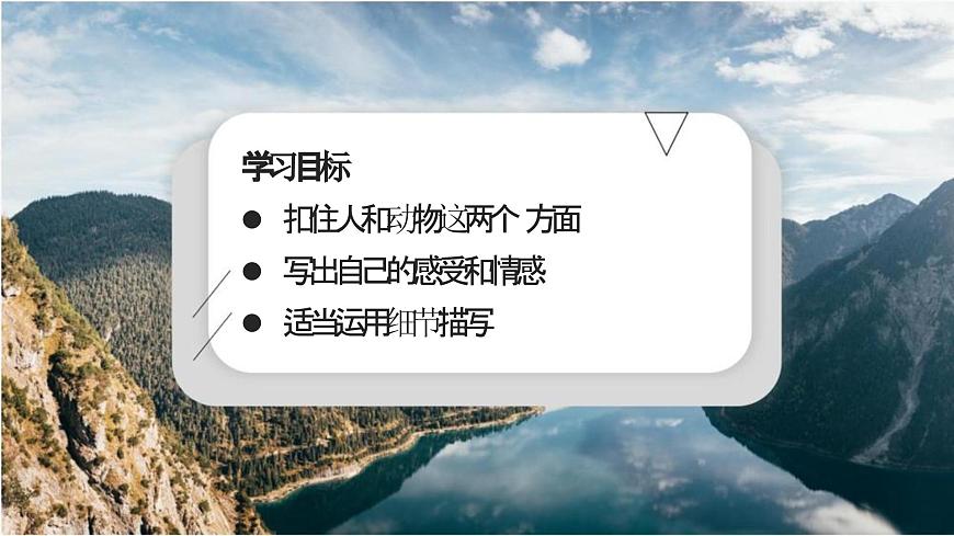 新人教部编版语文七上 第五单元《记叙与动物的相处》课件第3页