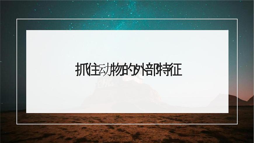 新人教部编版语文七上 第五单元《记叙与动物的相处》课件第4页