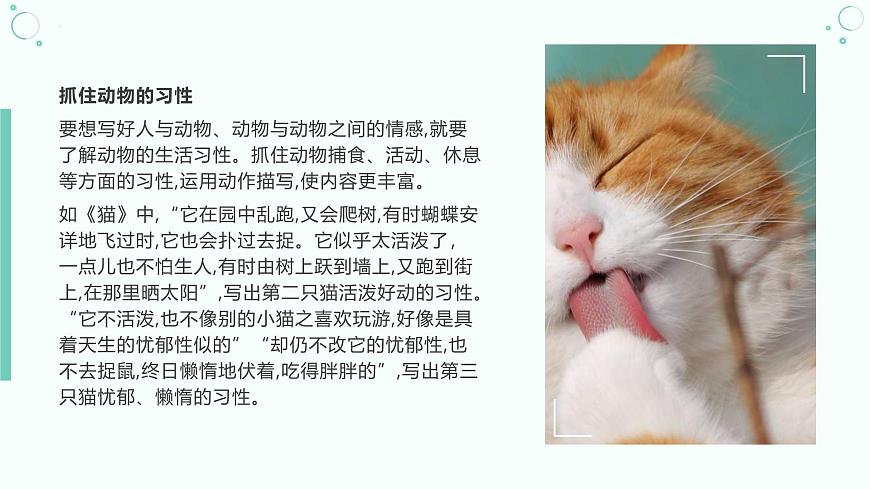 新人教部编版语文七上 第五单元《记叙与动物的相处》课件第6页