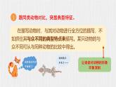 新人教部編版語(yǔ)文七上 第五單元任務(wù)三《記敘與動(dòng)物的相處》課 件課件PPT