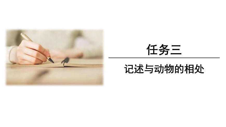 新人教部编版语文七上 第五单元任务三《记叙与动物的相处》 课件第1页