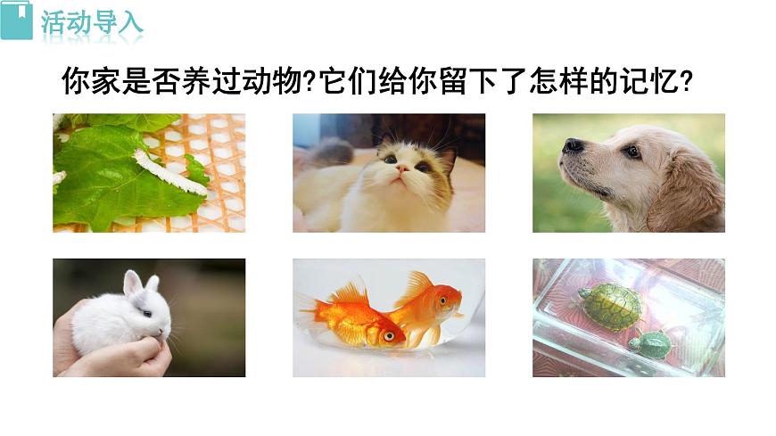 新人教部编版语文七上 第五单元任务三《记叙与动物的相处》 课件第3页