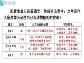新人教部編版語(yǔ)文七上 第五單元任務(wù)三《記敘與動(dòng)物的相處》 課件