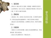 新人教部編版語(yǔ)文七上 第五單元 大單元整體教學(xué)設(shè)計(jì)課件PPT