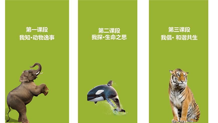 新人教部编版语文七上 第五单元 大单元整体教学设计课件PPT第4页