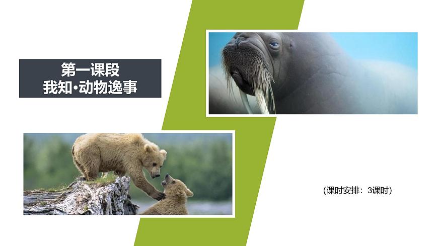 新人教部编版语文七上 第五单元 大单元整体教学设计课件PPT第5页