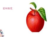 新人教部編版語文七上 第六單元寫作《發(fā)揮聯(lián)想和想象》課件