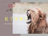 新人教部編版語文七上 6-24《蚊子和獅子》課件