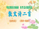新人教部編語文七上 2-7《散文詩二首》課件