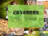 部編版2025-2026年第一學(xué)期 七年級(jí) 語(yǔ)文上冊(cè) 第五單元  任務(wù)三  記敘與動(dòng)物的相處  課件
