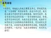 部編版2025-2026年第一學(xué)期 七年級(jí) 語(yǔ)文上冊(cè) 第五單元  任務(wù)三  記敘與動(dòng)物的相處  課件
