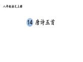 初中語(yǔ)文新人教部編版八年級(jí)上冊(cè)第三單元14 唐詩(shī)五首上課課件（考點(diǎn)精講版）（2025秋）