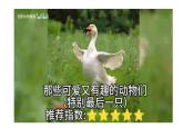 新人教部編語(yǔ)文七上 第五單元《親近動(dòng)物，豐富生命體驗(yàn)》課件