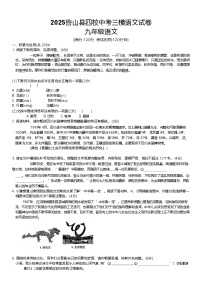 2025年河南省平顶山市鲁山县四校联考九年级中考三模语文试题（含解析）