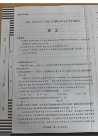 河南省新乡市2024-2025学年八年级下学期6月期末语文试题