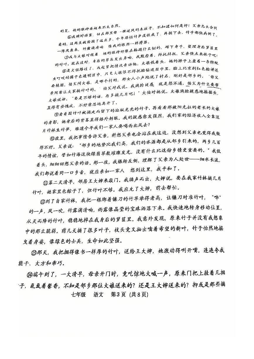 河南省实验中学2024-2025学年下学期七年级语文期末试题（无答案）第3页