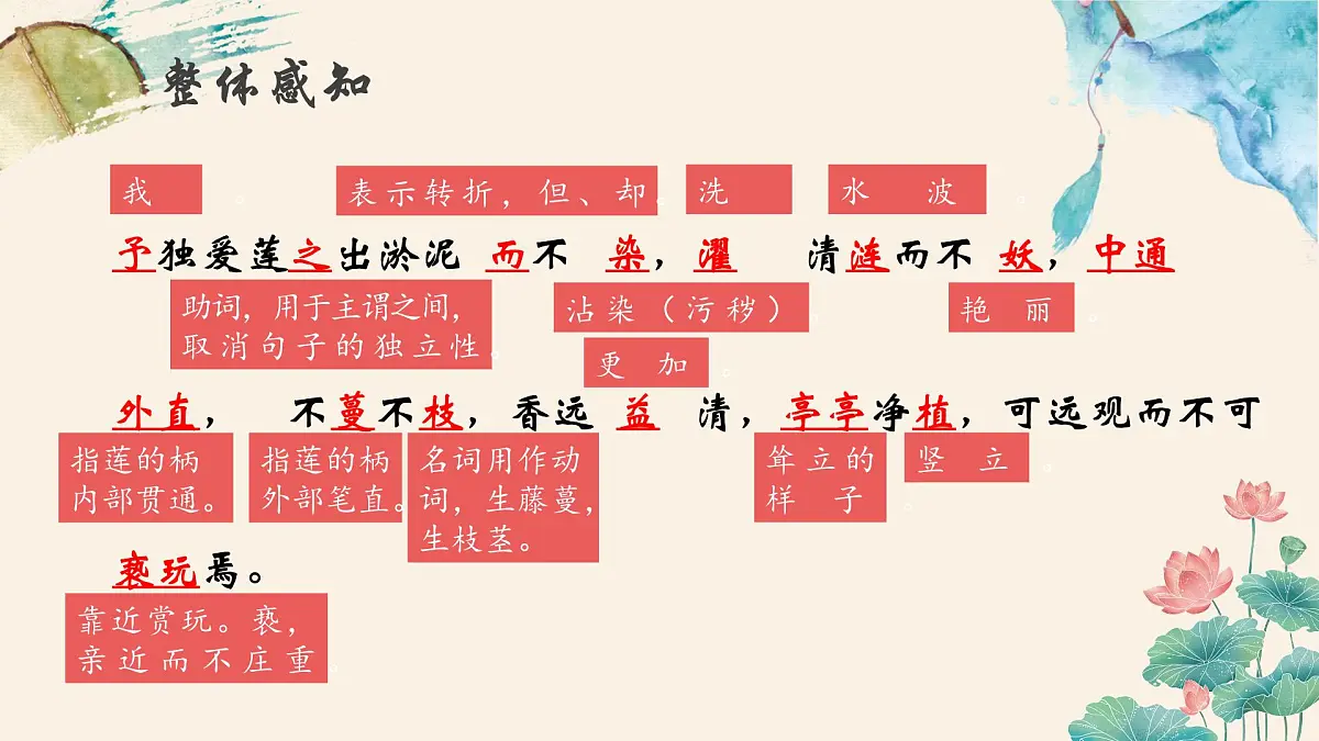 新人教部编语文七下 4-17《爱莲说》-教学课件第8页