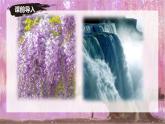 新人教部編語文七下 5-19《紫藤蘿瀑布》  課件