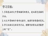 新人教部編語文七下 5-19《紫藤蘿瀑布》課件