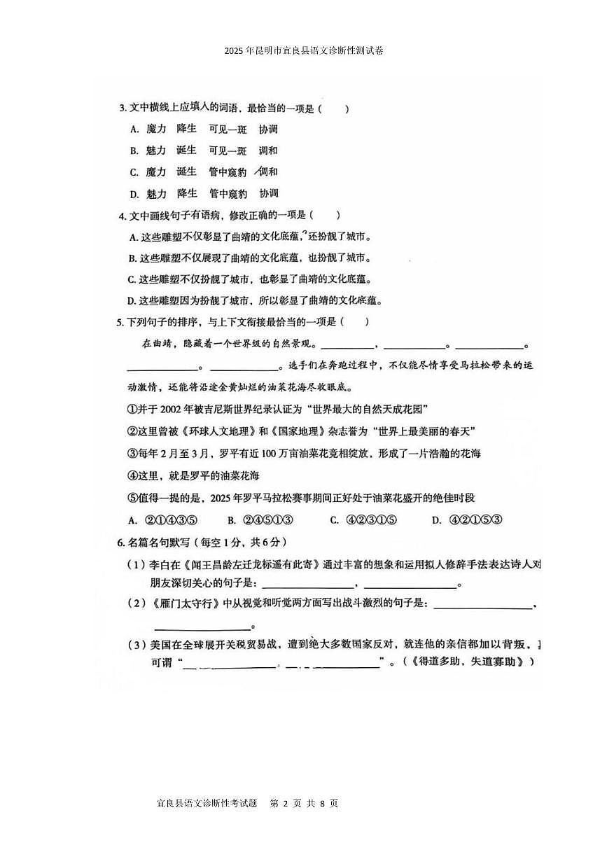 2025年昆明市宜良县语文诊断性测试卷 2025年昆明市宜良县语文诊断性测试卷第2页