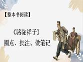 新人教部編版語文七下 第三單元整本書閱讀《駱駝祥子》課件