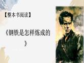 新人教部編版語文七下 第五單元《鋼鐵是怎樣煉成的》課件