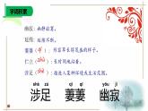 第20課《未選擇的路》課件 2024-2025學年統(tǒng)編版語文七年級下冊