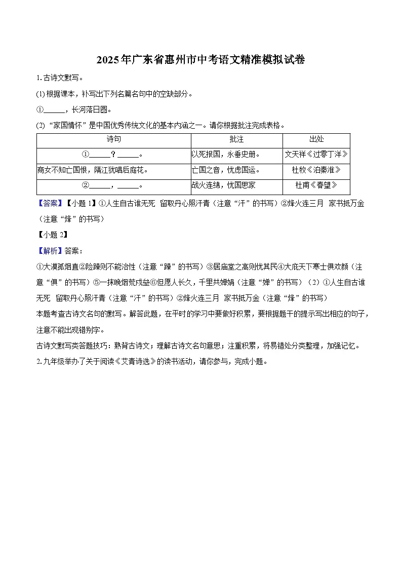 2025年广东省惠州市中考语文精准模拟试卷（含答案）第1页
