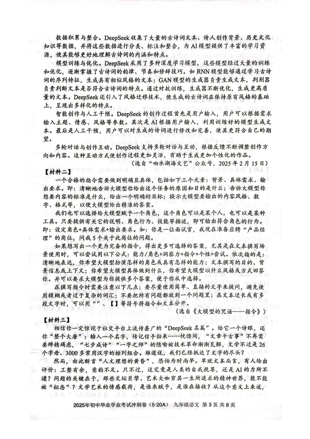 湖南省娄底市新化县2025年中考二模 语文试题第3页